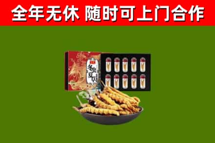 泗洪烟酒回收冬虫夏草礼盒.jpg